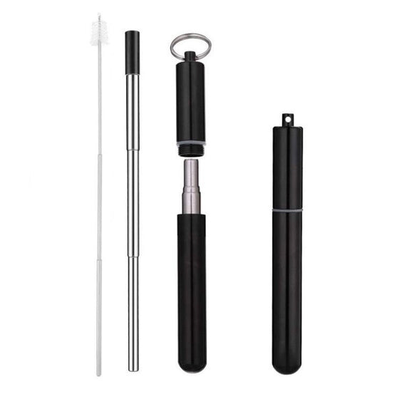 Collapsible Stainless Steel Straw Set